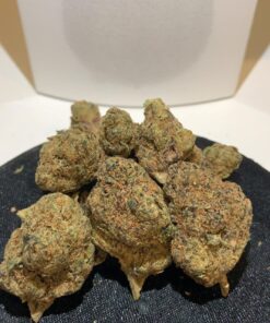 Rainbow Runtz 2.0 Strain