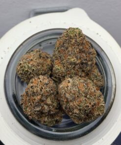 Rainbow Cookies Strain