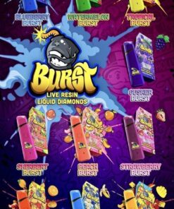 BURTS 2G Disposable (Live Resin + Liquid Diamonds)