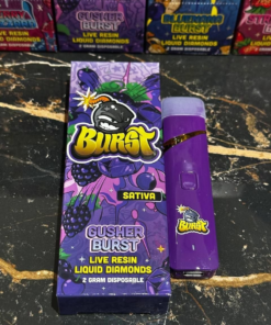 BURTS 2G Disposable (Live Resin + Liquid Diamonds)